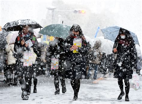 名古屋的降雪狀況