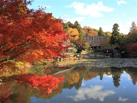 名古屋紅葉見頃時間