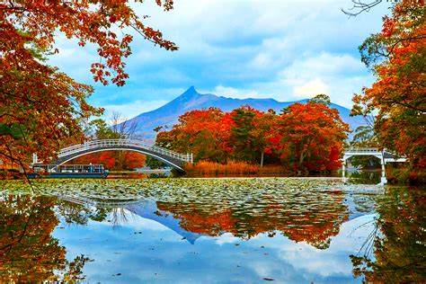 名古屋賞楓之旅