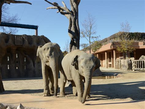 名古屋 動物園