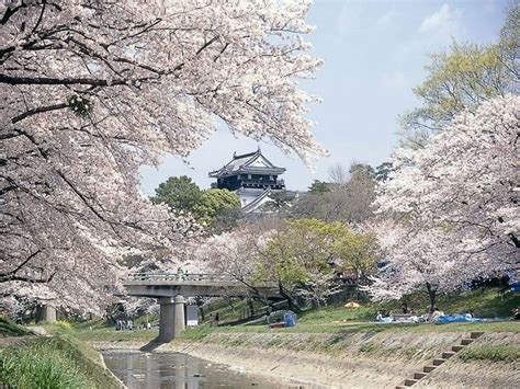 名古屋 岡崎 公園