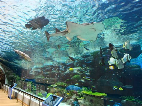 名古屋 水族館