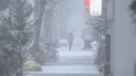 名古屋 雪