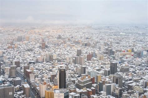 名古屋 雪 季