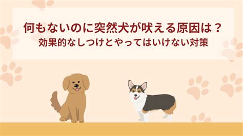 吠える犬への効果的な対策