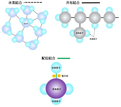 吸着剤: