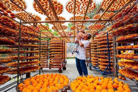 味衛佳柿餅：養生聖品，打造健康體魄！