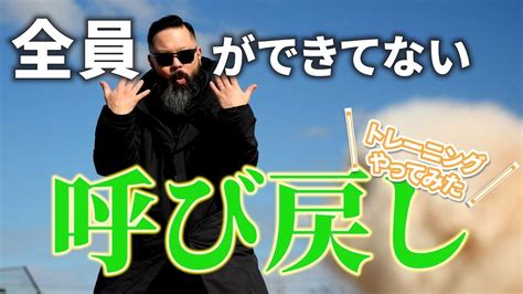 呼び戻し犬：あなたの忠実な相棒を確実に自分の元に呼び戻すための包括ガイド