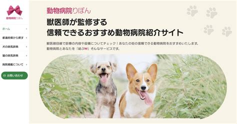 和歌山県で信頼できる動物病院をお探しですか？