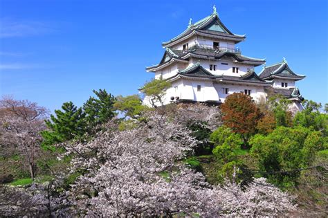 和歌山県和歌山市にある最先端の動物病院