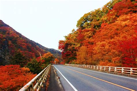 和歌山 賞楓 一日遊