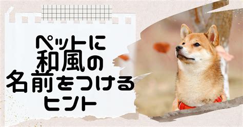 和風名前ペット: 日本独自の伝統美を愛犬に