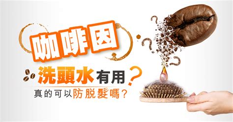 咖啡因洗頭水真的有效嗎？