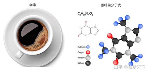 咖啡因的作用機制