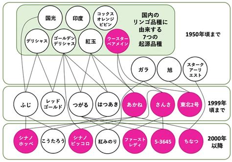 品種の起源