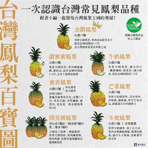 品種多樣：