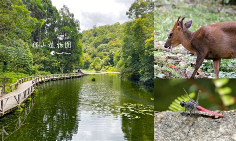 員山植物園