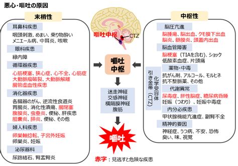 嘔吐の原因