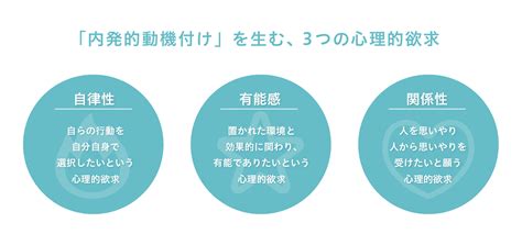 噛みしめる心理: 健康と充足を求める欲求の意味を解き明かす