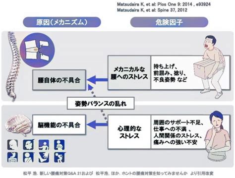 噛みしめる心理：ストレス解消や脳への好影響