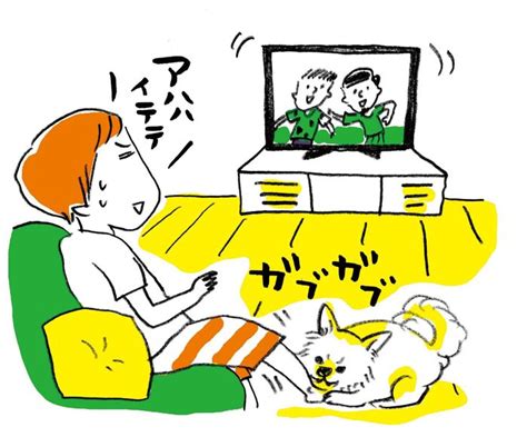 噛みグセは仔犬の一般的な問題であり、飼い主にとって悩みのもとになることがあります。適切なしつけを施すことで、仔犬の噛みグセを治し、安全で幸せなペットに育てることができます。