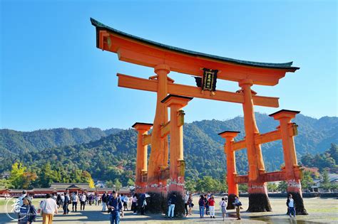 嚴 島 神社 鳥居