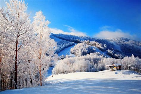 國內滑雪勝地推薦