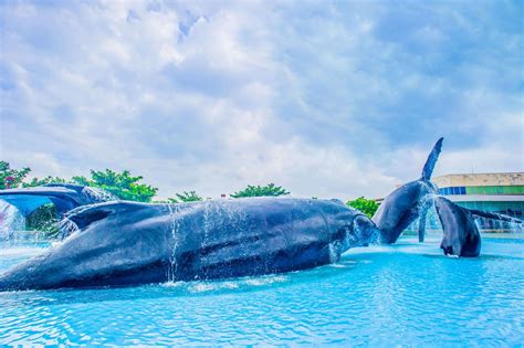 國立海洋生物博物館：台灣海洋生物寶庫