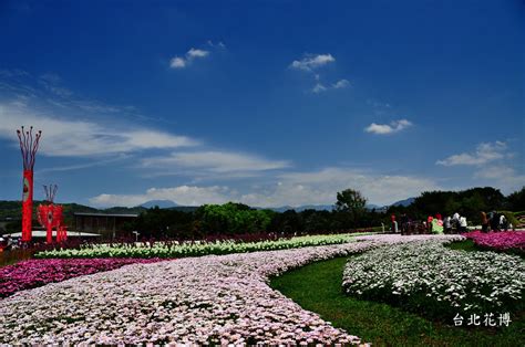 國際花卉區：