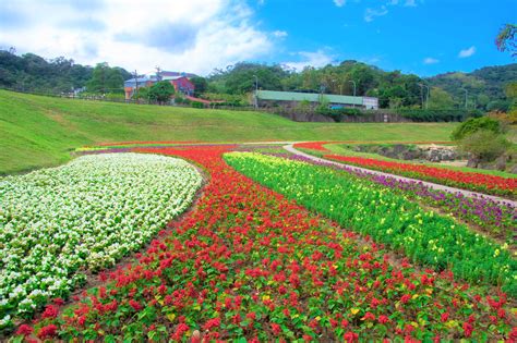 圓山花鄉：台北市的後花園