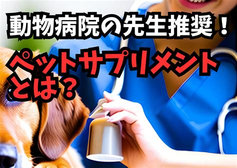 土井動物病院が推奨するペットの健康管理ガイド