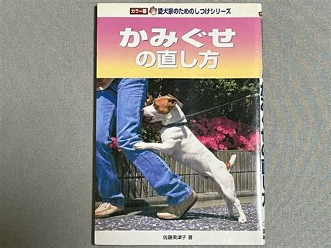 土佐犬グッズ: 愛犬家のための究極ガイド