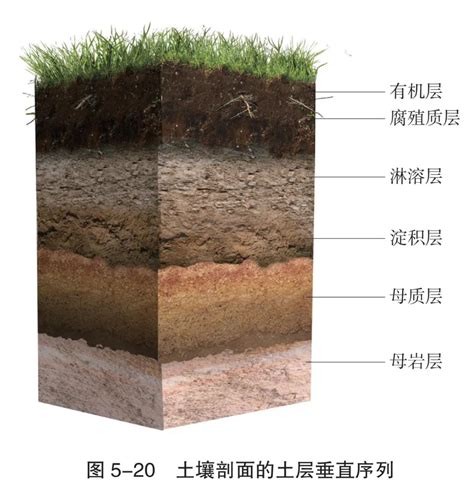 土层深度图集的重要性