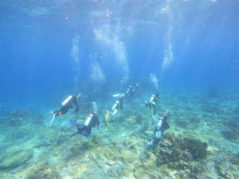 在沖繩最令人驚嘆的水族館附近享受豪華住所