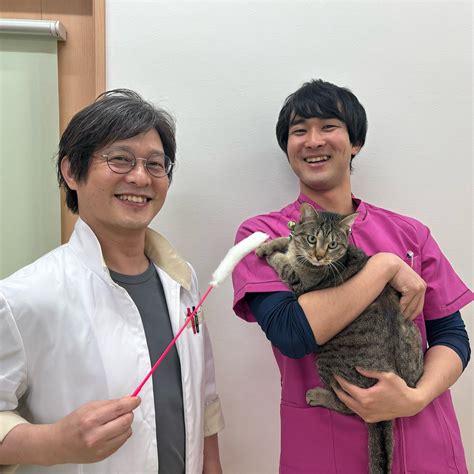 坂田犬猫病院がペットの健康に貢献する理由