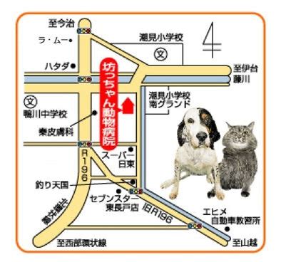 坊っちゃん動物病院でペットの健康を守る