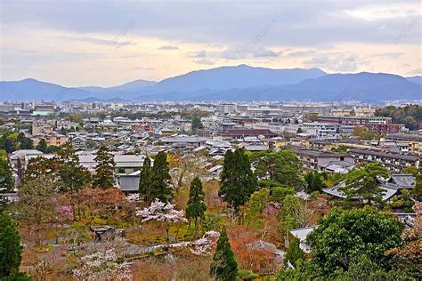 城市概況