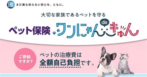 城 町 わん にゃん クリニックでペットの健康を守る