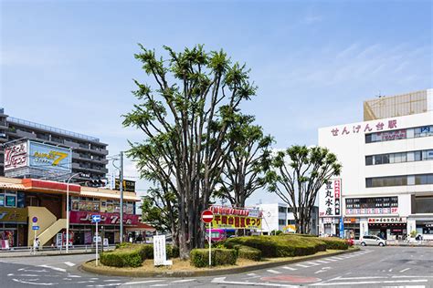 埼玉県せんげん台駅周辺のおすすめメンズマッサージ店10選