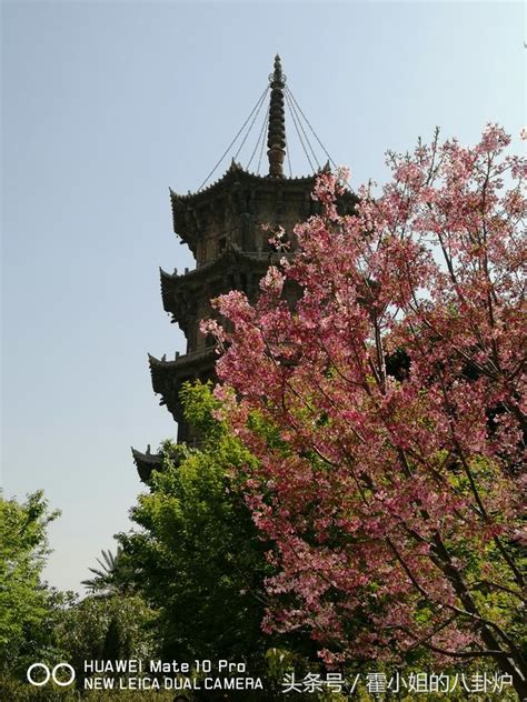 報國寺：千年古剎見證宋元文化