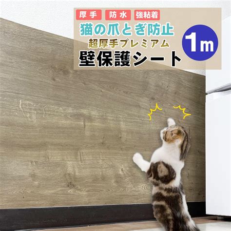 壁紙を傷から守るための猫用対策10選