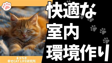 壁紙 保護 猫: 室内環境を美しく清潔に保つためのガイド