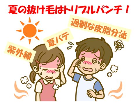 夏の抜け毛の原因