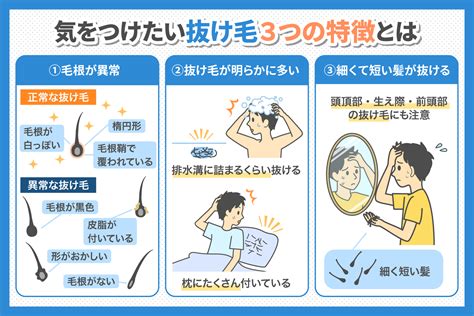 夏の抜け毛対策を徹底解説！原因・予防法・おすすめのケア方法