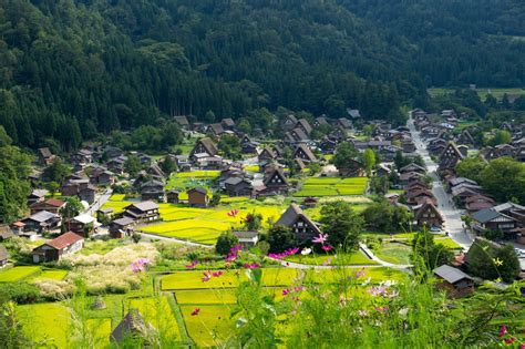 夏天 合掌 村