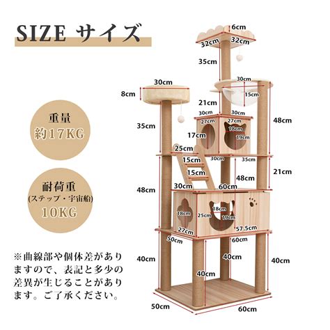 多頭飼いキャットタワーの必要性