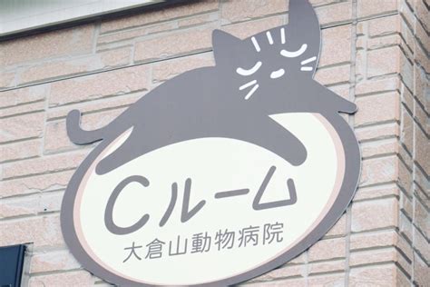 大倉山動物病院であなたの大切なペットの健康管理を