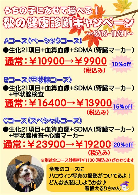 大倉山動物病院で愛するペットの健康と幸せを守る