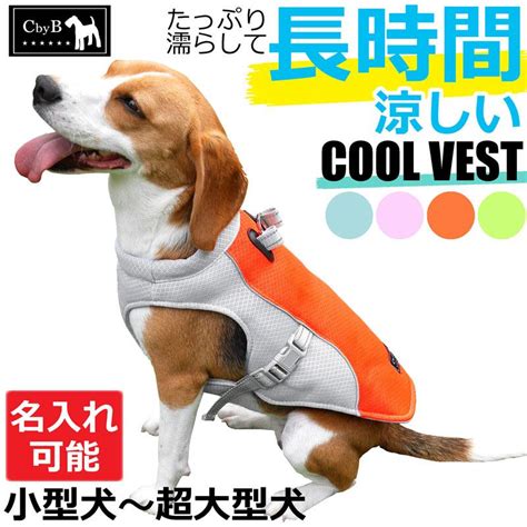 大型犬のためのクールベストの選び方と使い方