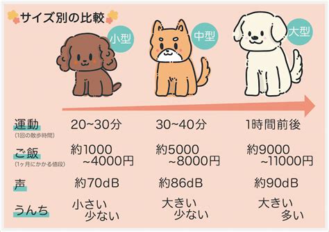 大型 犬 大き さ ランキング